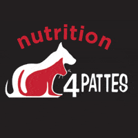Nutrition 4 pattes