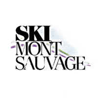 Ski Mont-Sauvage