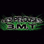 Les Pelouses 3.M.T