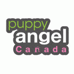 Puppy Angel