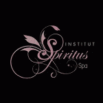Institut Spiritus
