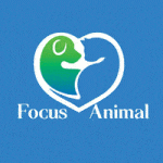 Focus Animal