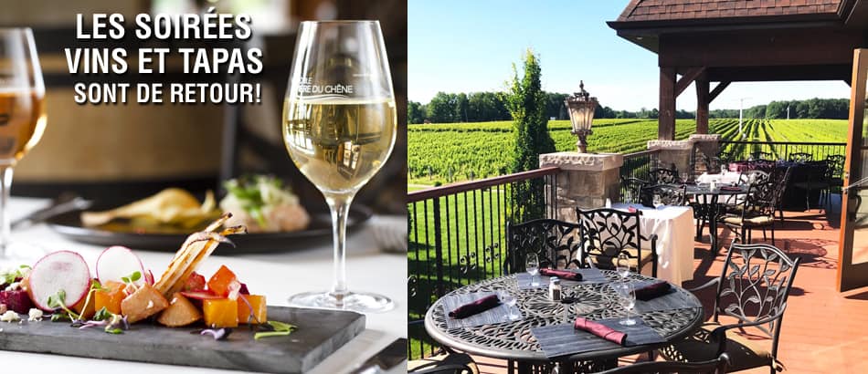 PHOTO_TAPAS-TERRASSE-VIGNOBLE