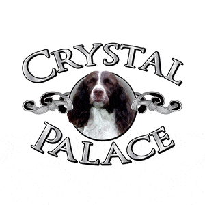 Crystal Palace | Salon de toilettage