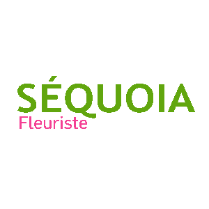Logo de SÉQUOIA Fleuriste