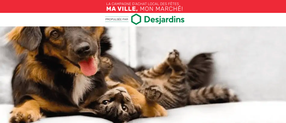 Certificat cadeau de 30 $