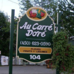 logo de carré doré