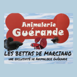 Logo de Animalerie Guérande