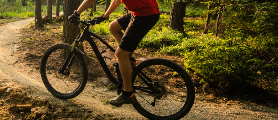 Location fatbike adulte
