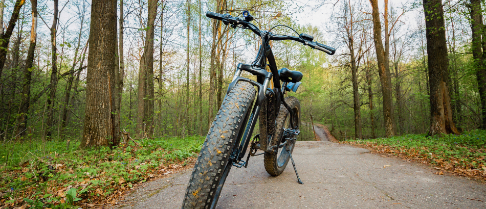Fatbike électrique 1h30
