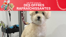Certificat cadeau de 30 $
