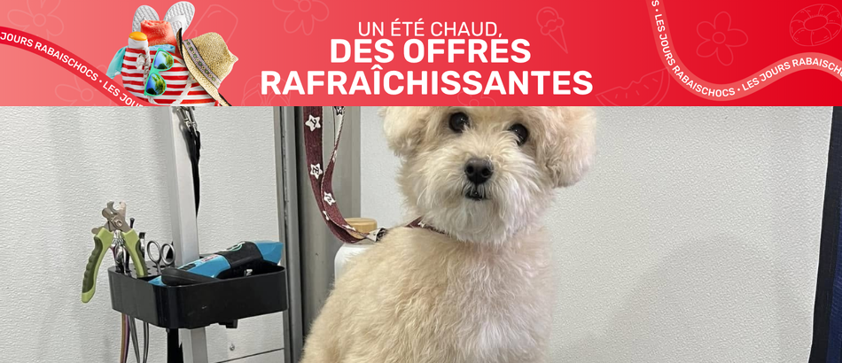 Certificat cadeau de 30 $