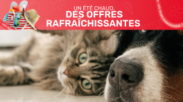 Certificat cadeau de 50 $