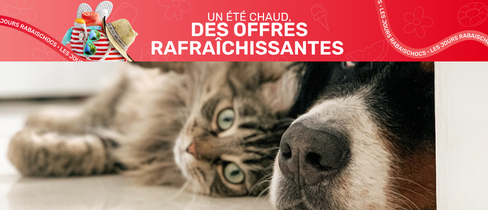 Certificat cadeau de 50 $