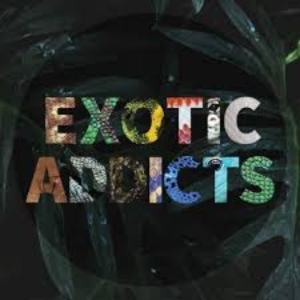 Logo de Exotic Addicts
