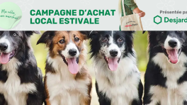 Certificat cadeau de 50 $
