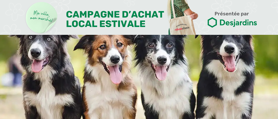 Certificat cadeau de 50 $