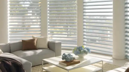 Certificat cadeau de 50 $