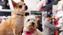 Certificat cadeau de 25 $