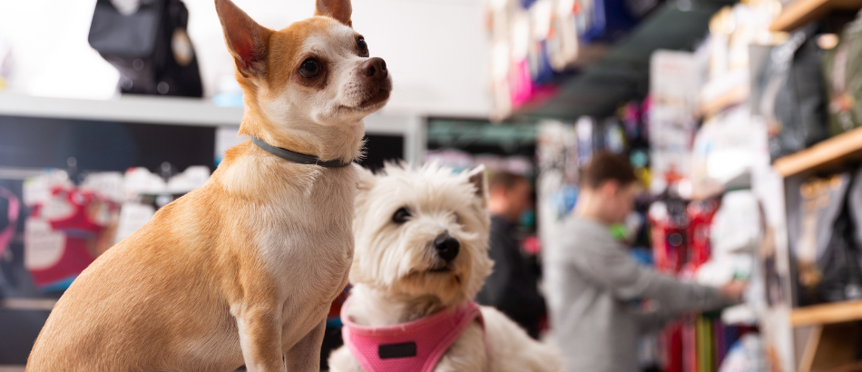 Certificat cadeau de 25 $