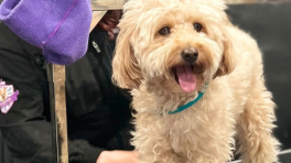 Certificat cadeau de 50 $