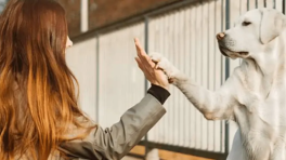 Certificat cadeau de 25 $