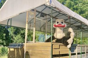 Nid'Otruche à Saint-Eustache, activité familiale dans les Laurentides