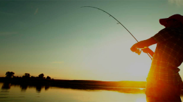 Certificat cadeau de 85 $