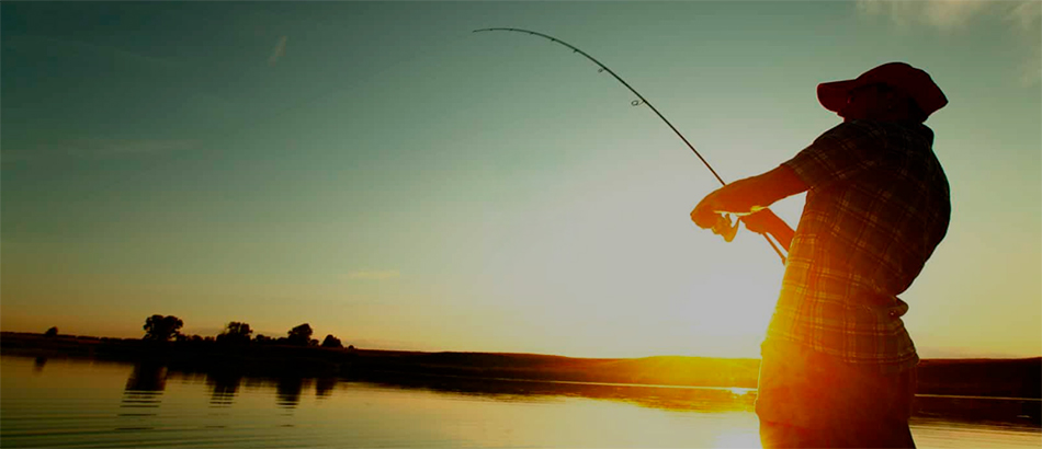 Certificat cadeau de 85 $