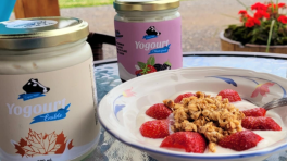 Certificat cadeau de 25$