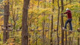 Certificat cadeau de 50$