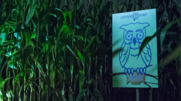 Labyrinthe hanté de soir