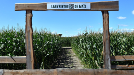 Labyrinthe hanté de jour