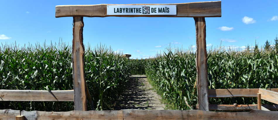 Labyrinthe hanté de jour