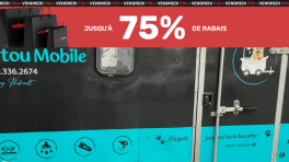 Toilettage 51 lbs à 60lbs