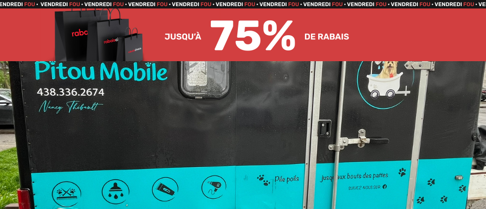 Toilettage 51 lbs à 60lbs