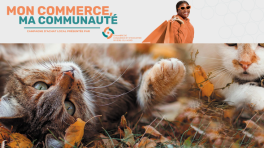 Certificat cadeau de 25$