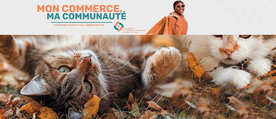 Certificat cadeau de 25$