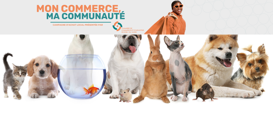 Certificat cadeau de 25$