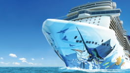 Certificat cadeau de 250$