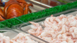 Certificat cadeau de 50$