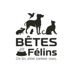 Bêtes et Félins