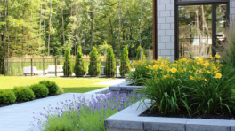 Certificat cadeau de 500$