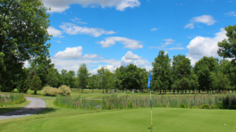 Certificat cadeau de 50$