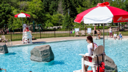 Passe annuelle familial