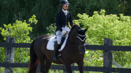 Certificat cadeau de 40$