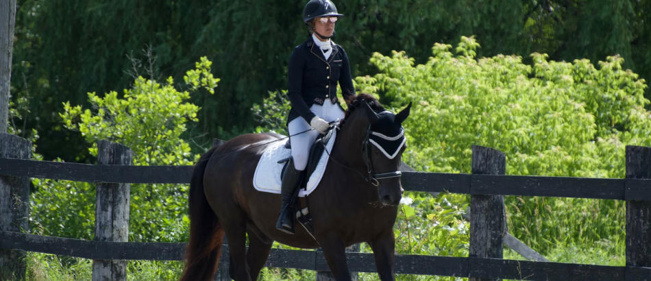 Certificat cadeau de 40$