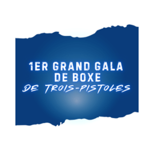 Gala de lutte et de boxe Double Impact Demaction