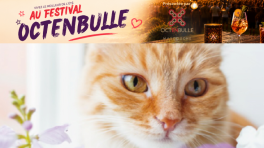 Certificat cadeau de 25$